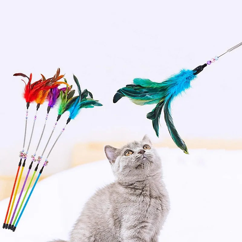 Cat Toy Feather Wand Teaser Interactive Spring Handle Kitten Toy with Bell Training Stick Pet Supplies