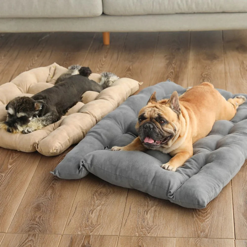 Divano Letto per Cani Caldo, Cuccia Invernale per Animali Domestici, Tappetino per Cani e Gatti, Casa per Dormire, Materasso per Cuccioli, Cuscino per Animali di Piccola e Grande Taglia