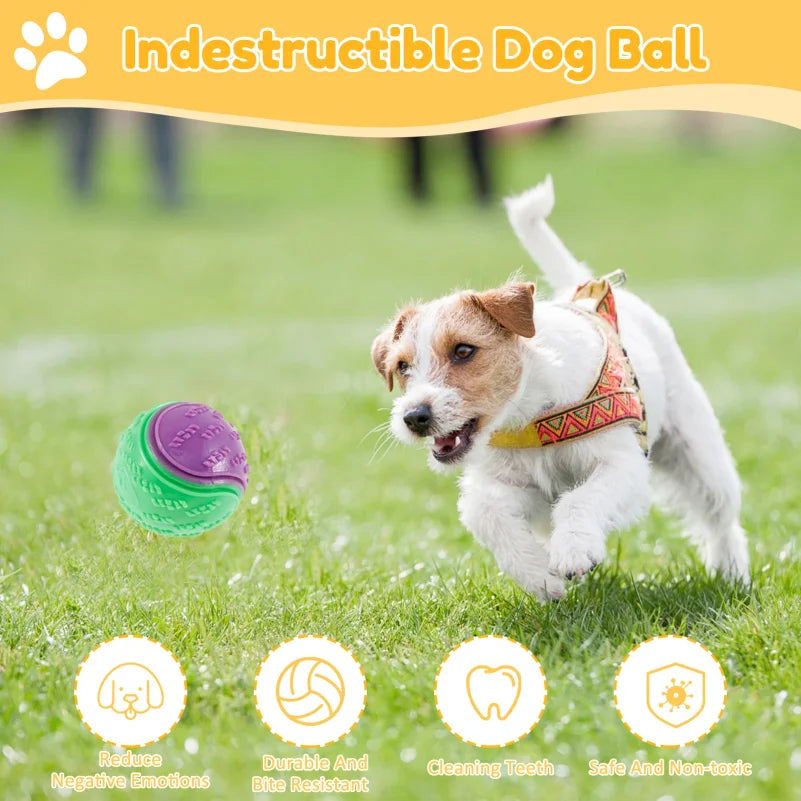6Pcs Squeaky Balls Toys Dogs Interactive Toys TPR Dog Chew Toy for Dog Pet Teeth Cleaning Bite Resistance  Pet Supplies