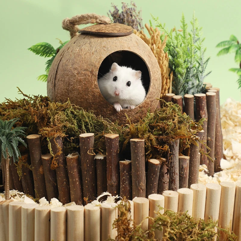 Hamster House Bite-resistant Natural Coconut Cage for Small Pets, Guinea Pig Hamster Hideout, Wooden Toy House, Pet Supplies