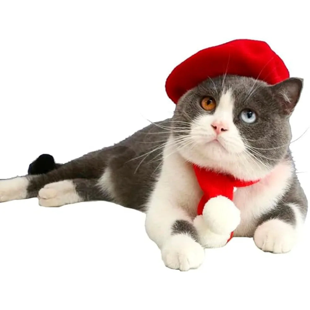 Dog Beret Hats Cats Hats Fashion Four Seasons Funny Wool Winter Pet Hat Mini Monochrome Cat Beret Cute Pet Casual Travel Outfit