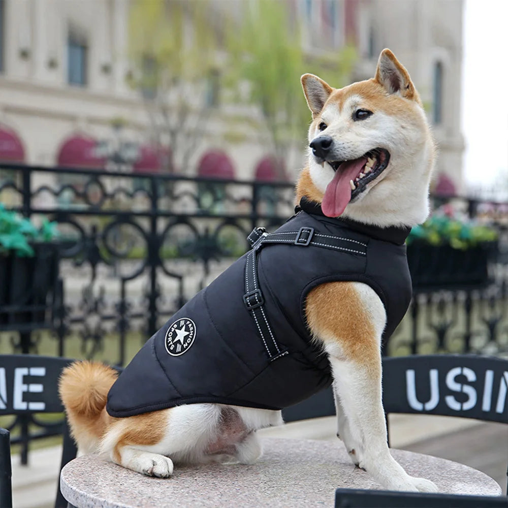 Giacca impermeabile per cani con pettorina riflettente, abbigliamento invernale per cani di piccola e media taglia, Shiba Inu, Dobermann, giacche da esterno