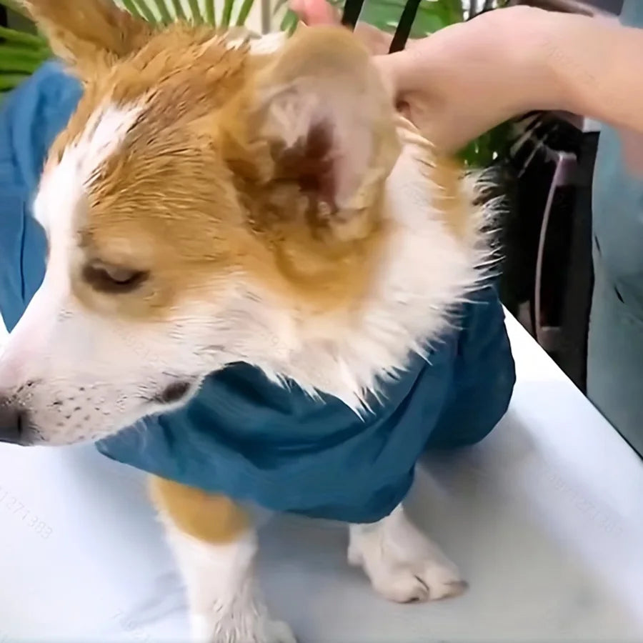 Asciugacapelli pieghevole portatile per cani, efficiente sacca di asciugatura per animali domestici, per cani e gatti, accessorio per la pulizia invernale, borsa per asciugatura