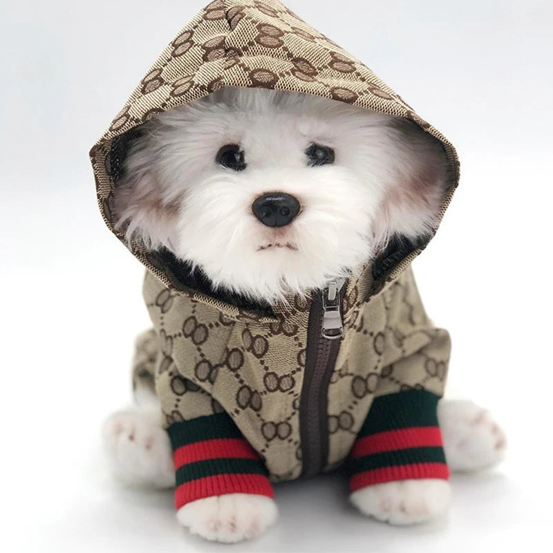 Autunno Inverno Fantasia 8 Giacca per animali domestici Vestiti per gattini Cappotto per cuccioli Bulldog Corgi Cane Moda Giacca a vento Designer Abbigliamento di lusso per cani