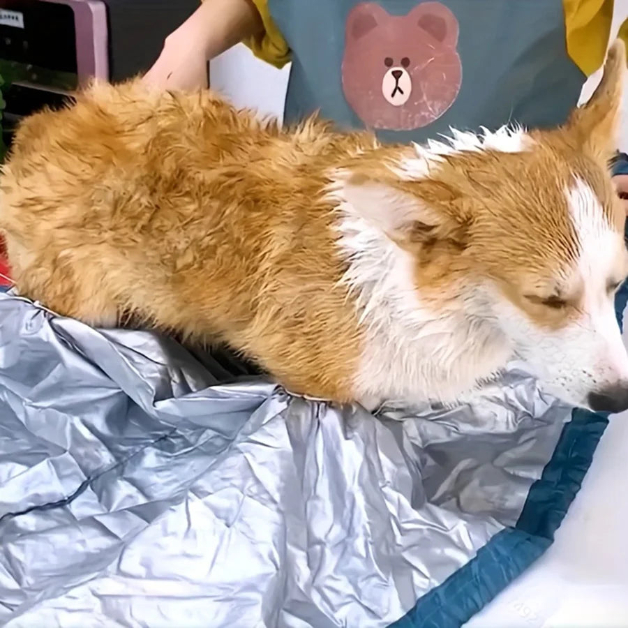 Asciugacapelli pieghevole portatile per cani, efficiente sacca di asciugatura per animali domestici, per cani e gatti, accessorio per la pulizia invernale, borsa per asciugatura