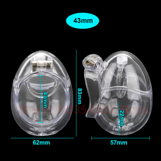 Stainless Steel Fully Restraint Male Chastity Devices With Thorn Ring,Scrotum Ball Stretcher,Metal Cock Cage,BDSM SexToy For Men