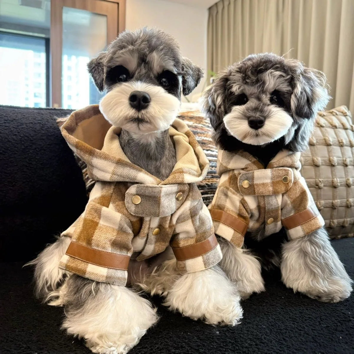 Pet Autumn and Winter Hooded Woolen Coat, Dog Autumn and Winter Warm and Thick Teddy Coat, Puppy Clothes