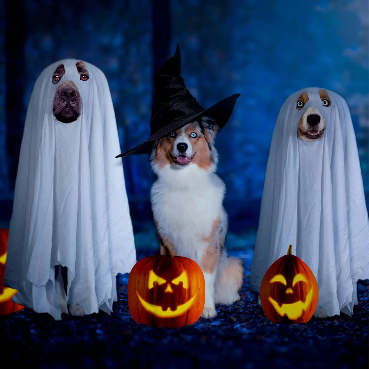 White Dog Halloween Costume Halloween Ghost Pet Cloak Spooky Soft Pet Clothes Breathable Dog Costume for Outdoor Walks Photo
