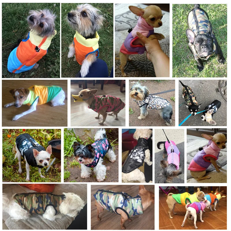 Vestiti caldi per cani di piccola taglia, cappottino invernale antivento imbottito per animali domestici, giubbotto per cuccioli, abbigliamento per Yorkie e Chihuahua 35