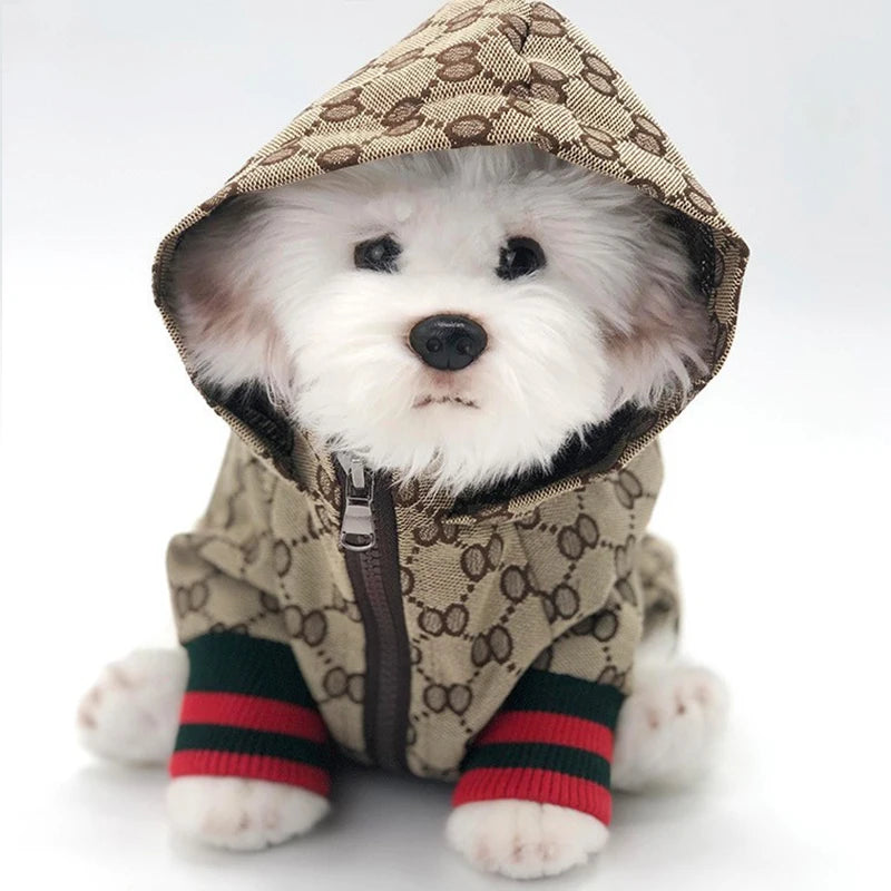 Autunno Inverno Fantasia 8 Giacca per animali domestici Vestiti per gattini Cappotto per cuccioli Bulldog Corgi Cane Moda Giacca a vento Designer Abbigliamento di lusso per cani