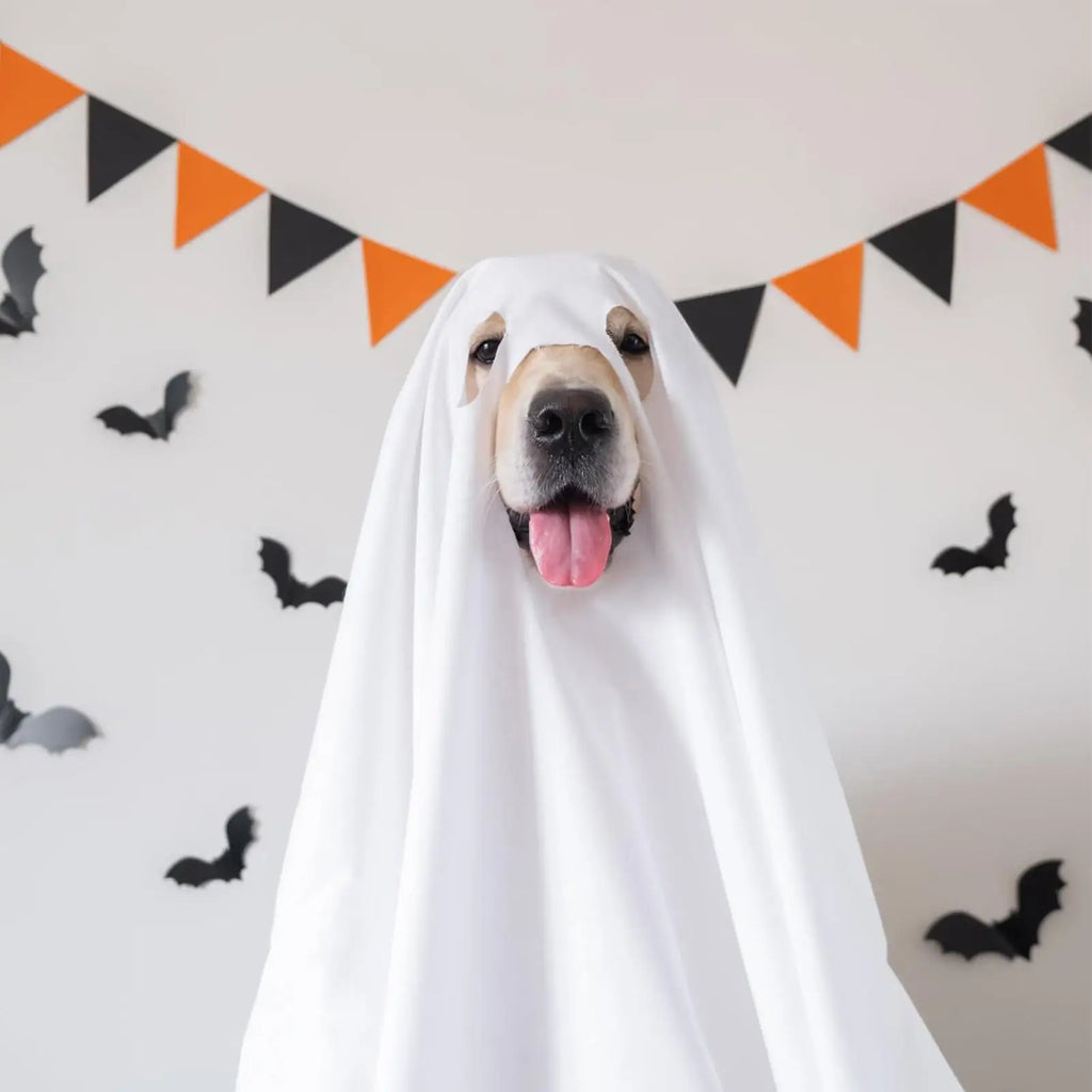 White Dog Halloween Costume Halloween Ghost Pet Cloak Spooky Soft Pet Clothes Breathable Dog Costume for Outdoor Walks Photo