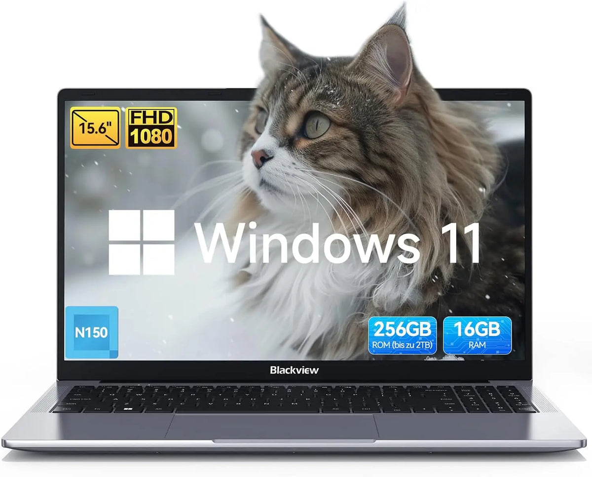 Blackview Acebook 6 Laptop Computer, 15.6” Fhd Ips Tüv Screen Quad-Core N150,16Gb Ddr4 256Gb Ssd,Desktop Notebook