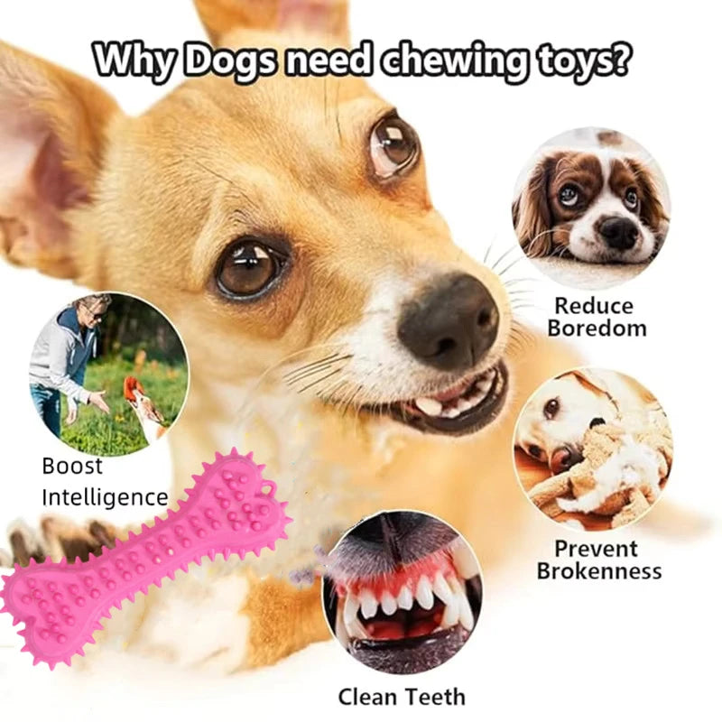 1PC Pet Chew Toy Soft Rubber Bite-resistance Bone Shape Teeth Grinding Chewing Toys for Small Dogs Training Pet Supplies Brush