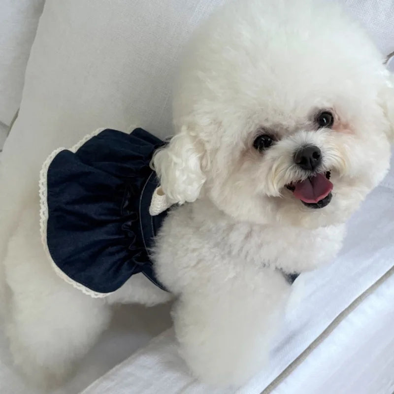 Spring Pet Cat Cowboy Vest Walking Chest and Back Harness Cute Bow Dress Puppy Clothes Dog Clothes for Small Dogs