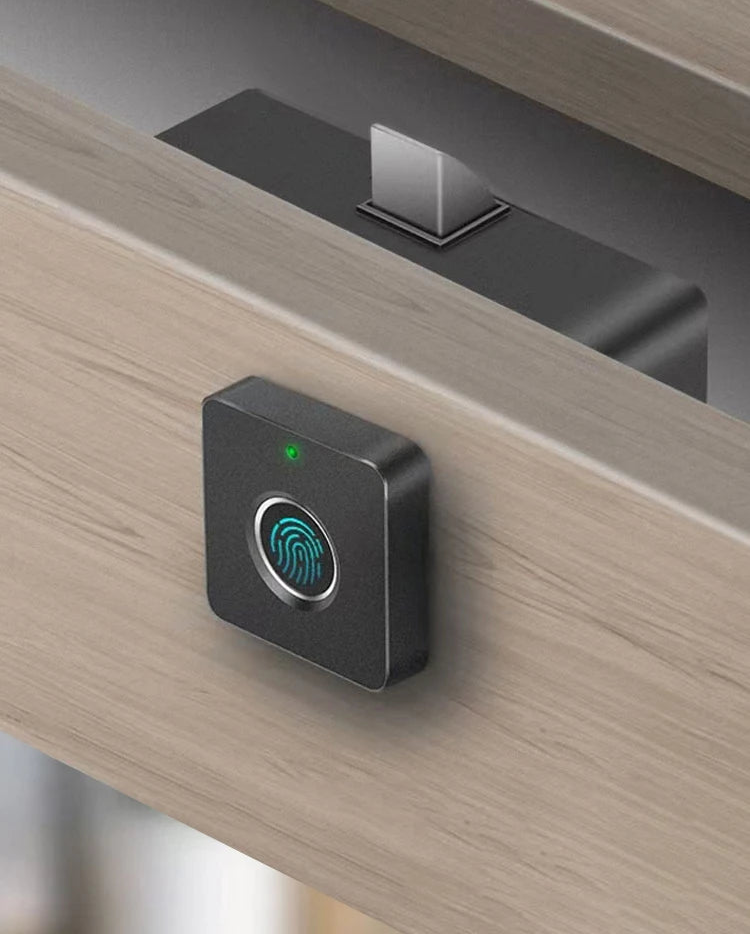 Smart Biometric Cabinet Lock Black Keyless Fingerprint Locks Anti-theft Door Lock Hidden File Drawer Wardrobe Hardware